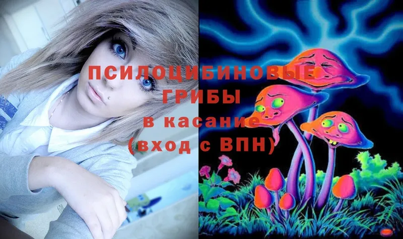 Галлюциногенные грибы Magic Shrooms  Белогорск 